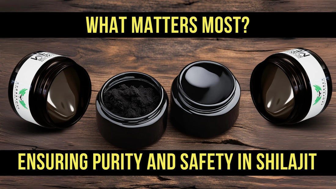 Impure Shilajit VS Purified Shilajit: What Matters Most?