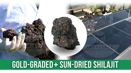 Properdex Gold-Graded + Sun-Dried Himalayan Shilajit - Exceptional Quality