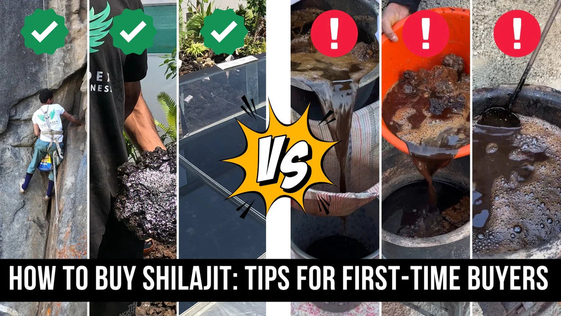 How to buy Shilajit: Tips for First-time Buyers