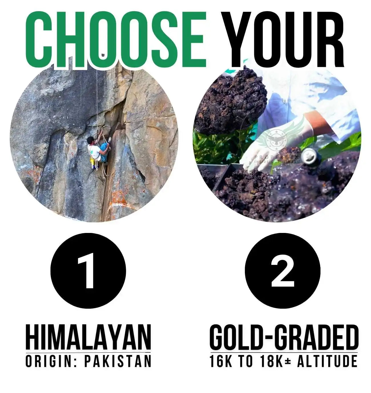 Choose Your Seller Wisely: 1. Himalayan Origin: Pakistan 2. Gold-Graded 16K to 18K± Altitude"